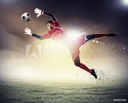 Picture of Goalkeeper catches the ball